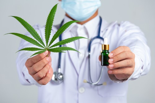 CANNABIS