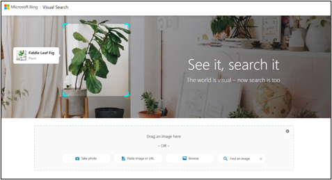 Bing Reverse Image Search