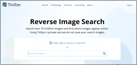 TinEye Reverse Image Search