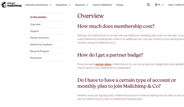 MailChimp FAQ Template