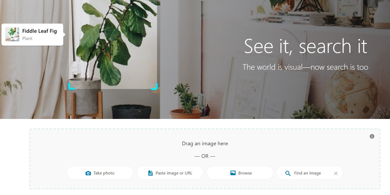 Bing Visual Search