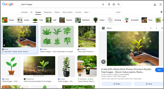 reverse image search